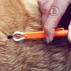 Tick Remover II With Clip -Outdoor Camping Shop 0034518 tick remover ii with clip
