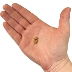 G Jet 2 Pk -Outdoor Camping Shop 0041361 g jet 5000 btu 2 pk