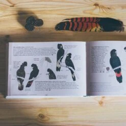 Where Birds Sing And Wildflowers Dance − Jason Tyndall -Outdoor Camping Shop 1228542 where birds sing and wildflowers dance