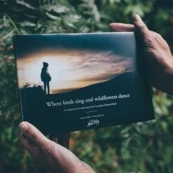 Where Birds Sing And Wildflowers Dance − Jason Tyndall -Outdoor Camping Shop 1228543 where birds sing and wildflowers dance