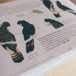 Where Birds Sing And Wildflowers Dance − Jason Tyndall -Outdoor Camping Shop 1228545 where birds sing and wildflowers dance