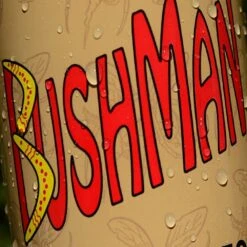 Bushman Insect Repellent Aerosol -Outdoor Camping Shop 1256264 insect repellent aerosol
